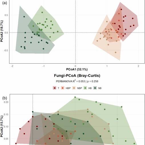 Beta diversity patterns for bacteria and fungi are shown together.