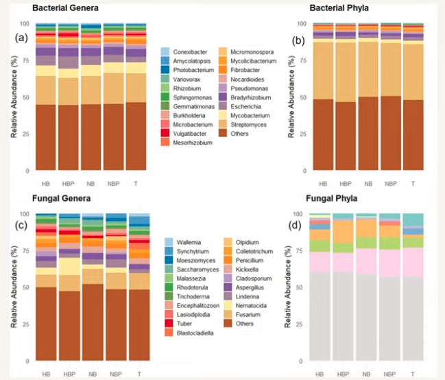 Taxonomy changes less than you might think 2 truffle soil